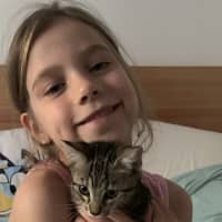 Photo of Licketty Split