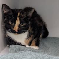 Photo of Olivia
