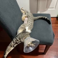 Photo of ❤️ Sarah ❤️`