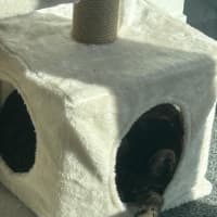 Photo of Nova