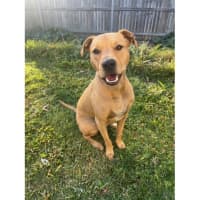 Photo of Edna *$250 Adoption Fee*