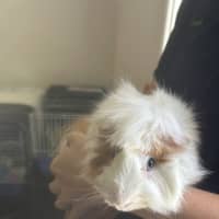 Photo of Spotty