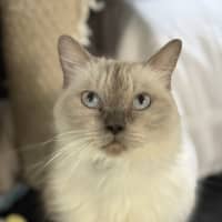 Photo of Nami
