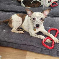 Photo of Zeo