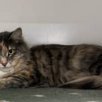 Photo of Beth Sta012910