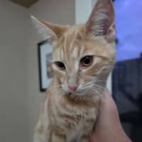 Photo of Nala