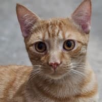 Photo of Denver