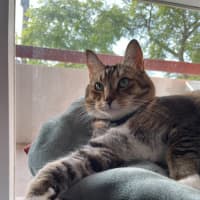 Photo of Ivan