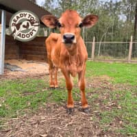 Photo of Bowen & Albert