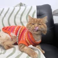 Photo of Calvin