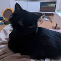 Photo of Belle
