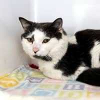 Photo of Walter Sta014410