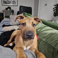 Photo of Jose' (Was Buster)