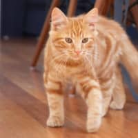 Photo of Hansel Moriarty