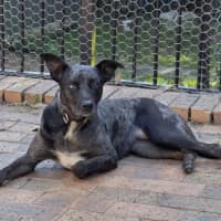 Photo of Luna 