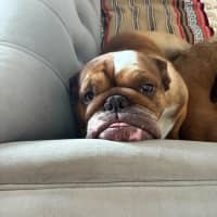 Photo of Sally And Jessie Wensleydale