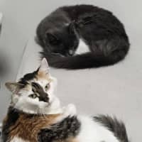 Photo of Evie & Charlotte 