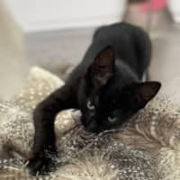 Photo of Einstein (9991)