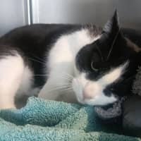 Photo of Mitzi