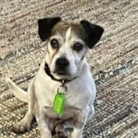 Photo of Coriolanus Snow Peggotty