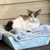 Photo of Princess