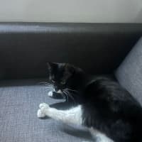 Photo of Bissy