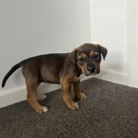 Photo of Princess Bubblegum