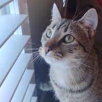 Photo of Oliver