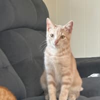 Photo of Georgia