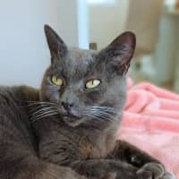 Photo of Alice
