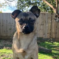 Photo of Minnie 🐭