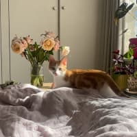 Photo of Roxy & Eggsy