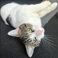 Photo of Perry & Parker 💙🌷