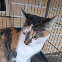 Photo of Hazel