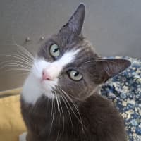 Photo of Luna