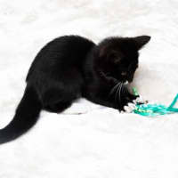 Photo of Octavia