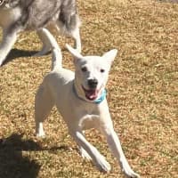 Photo of Lumi