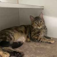 Photo of Zoe