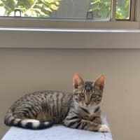 Photo of Leo