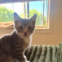 Photo of Bebe