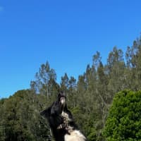 Photo of Bentley
