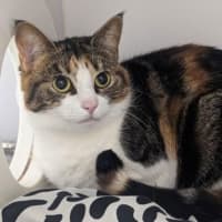 Photo of Bonnie