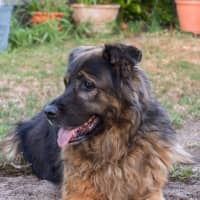 Photo of Zena