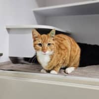 Photo of Alfred