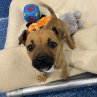 Photo of Tilly