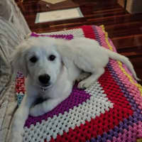 Photo of Romy