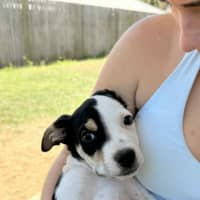 Photo of Novalie (P12)