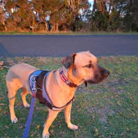 Photo of Turbo 