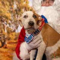 Photo of Charlie (P11)