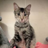 Photo of Miiko